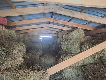 карова токмок: 1 кос туктор чон плотный метровый 700шт 100шт 3кос — 2