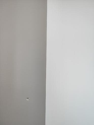 сир панель: Покраска стен, На масляной основе, На водной основе, Больше 6 лет опыта — 3