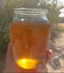 черный мед цена бишкек: Натуральный горный мед из Суу Самыр района. Характеристики: - 100% — 3