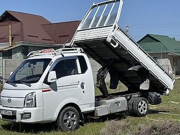 ман 26: Легкий грузовик, Hyundai, Стандарт — 1