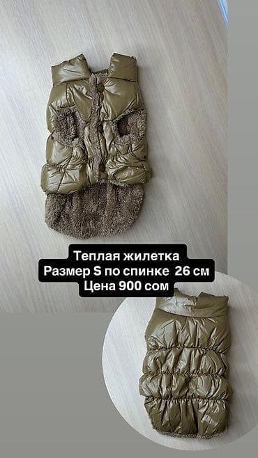 hamster: Одежда для кошек и собак. От 200 сом и дороже Все НОВОЕ РАЗМЕР И — 8