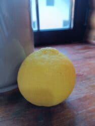 семена помидоры: Продаю лимоны домашние, очень плодовитые, большие, белые горшки по — 6