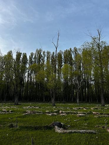 комната аламедин 1: 100 соток, Курулуш, Сатып алуу-сатуу келишими — 3