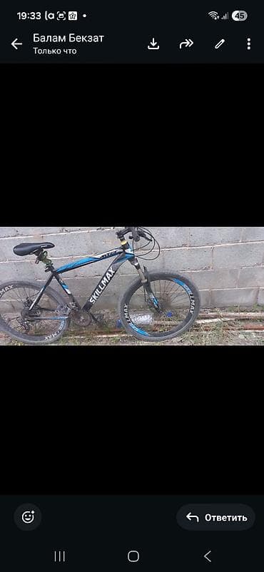 купить турник 3 в 1: Горный велосипед, Skillmax, Алюминий — 8