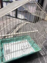 купить клетку для декоративного кролика бу: Клетка для птичек — 3