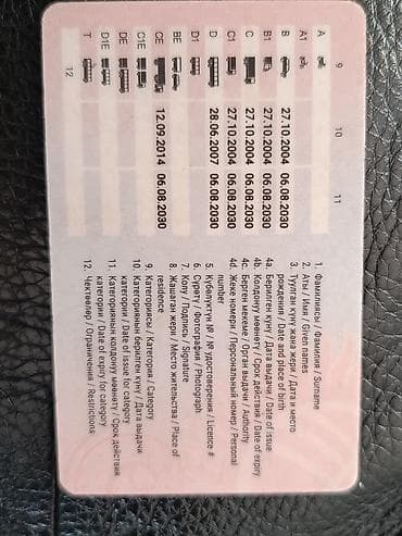 Услуга: предоставление водительских услуг профессионального водителя с