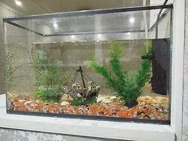 аквариум на заказ: Аквариум прямоугольный с оформлением “морское дно”. Комплектация и — 2