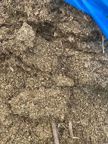 А/ч жаныбарлары үчүн тоюттар: Кукурузный силос (рубленка) Описание:силос - Кормовая масса из — 2