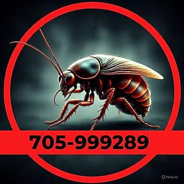 far cry 4: Делить кухню с непрошенными гостями! 🪳🚫 ​Надоело включать свет и — 2