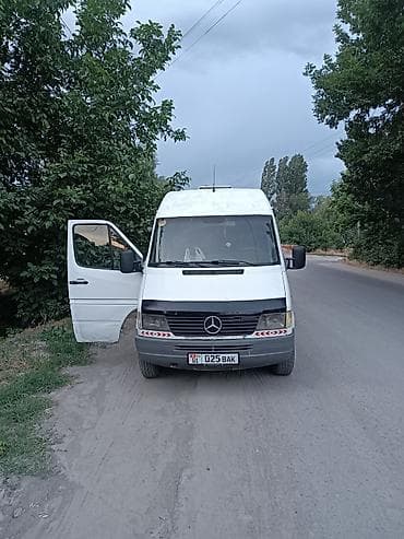 эшаки: Mercedes-Benz Спринтер: 1997 г., 2.9 л, Фургон — 3