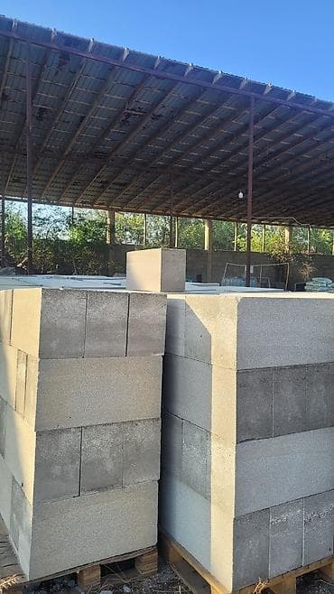 Газоблок, Неавтоклавный, 600x200x300, D600