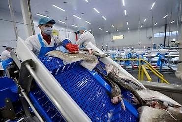 рыби: Приглашаем на работу в г. Клин МО, на завод морепродуктов. Мужчин и — 5