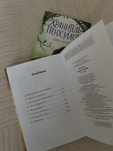 коллекция часов: Книги Хранитель Пенхэллоу — комплект из 2 томов серии Холли Вебб. В — 2