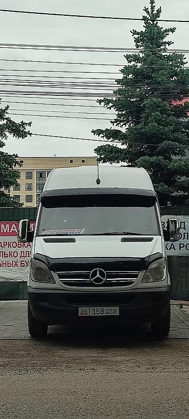 кунан жылкы: Буйрутмага жүргүнчүлөрдү ташуучу бус — 1