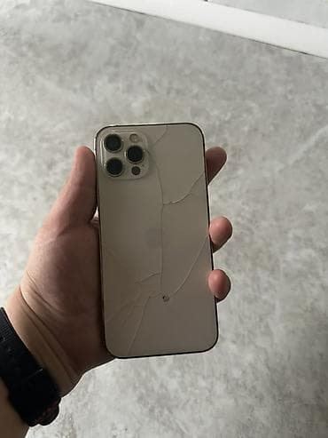 hotpoint ariston: IPhone 12 Pro Max, Золотой — 1