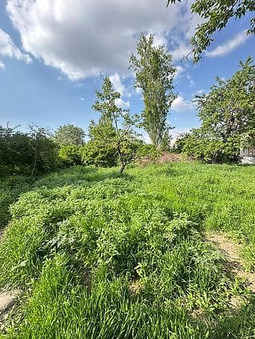 Продажа участков: 8 соток, Для бизнеса, Красная книга, Тех паспорт, Договор купли-продажи — 3