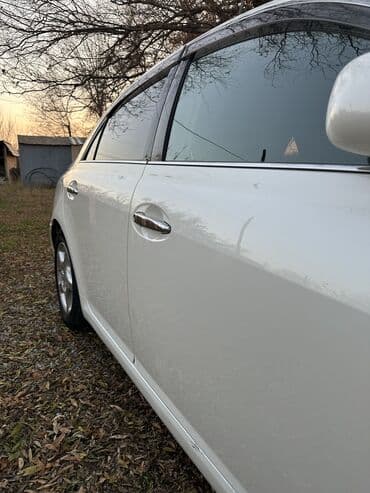 лампа led: Toyota Mark X: 2005 г., 2.5 л, Типтроник, Бензиновая, Седан — 7