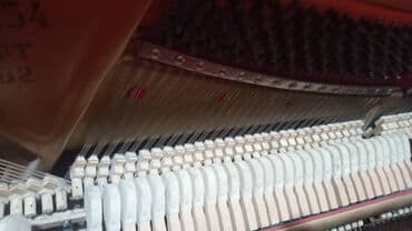 аренда музыкальных инструментов: "Ремонт ф-но Настройка" Anytime!!! W/ap .настройка и ремонт — 4