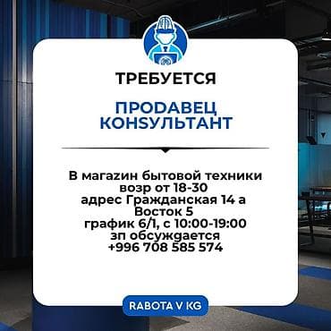 Швейное дело: Требуется Продавец-консультант в Магазин электроники, График: Шестидневка, % от продаж, Полный рабочий день — 1