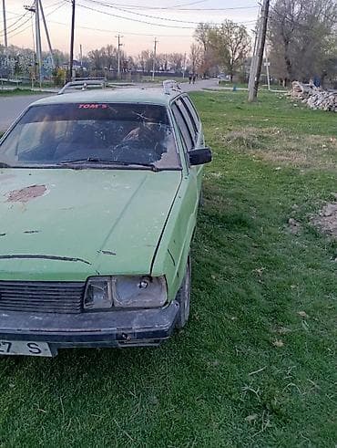 нива на разбор: Volkswagen Passat Variant: 1981 г., 1.8 л, Ручные, Бензин, Универсал — 5