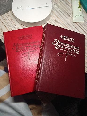 Роман, На русском языке, Б/у, Бесплатная доставка