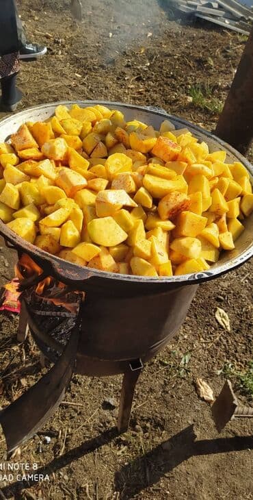 автоэлектрик ремонт авто с выездом бишкек: Выездные банкеты | Повара — 5