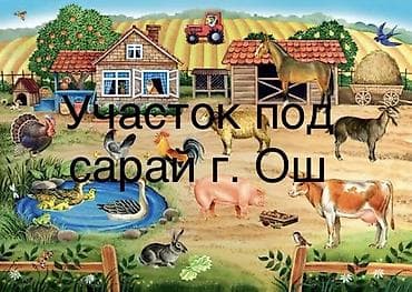 5: 40 соток, Для бизнеса, Красная книга — 1