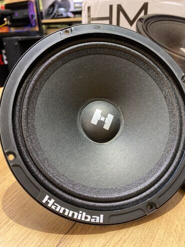 динамик пионер: Hannibal — 5