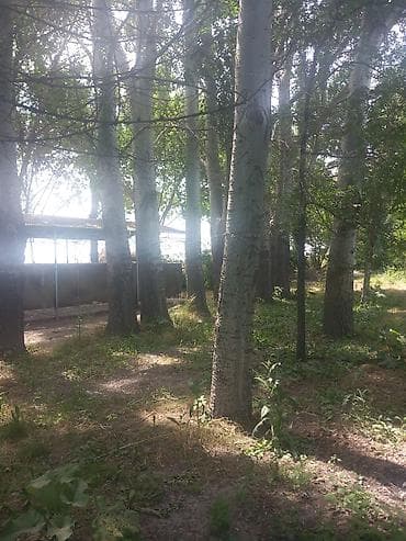 сдаётся салон красоты: Срочно продается кафе требуется ремонт адрес Объездная озерное — 3