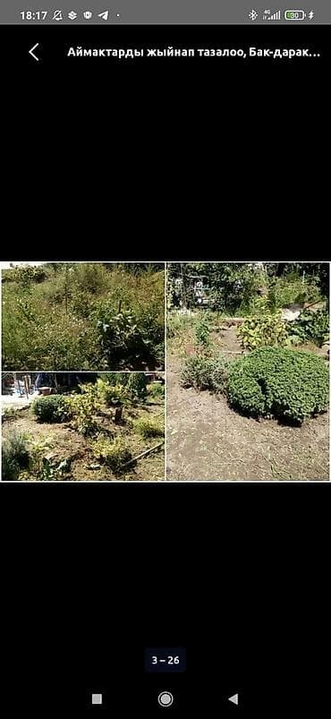 стрижка газонов: Уборка территории, Уборка двора и сада — 2