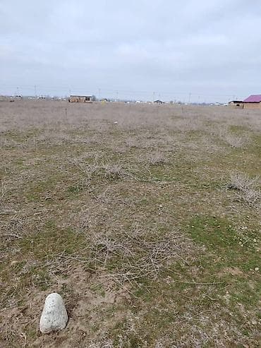 калганы: 4 соток, Курулуш, Кызыл китеп — 2