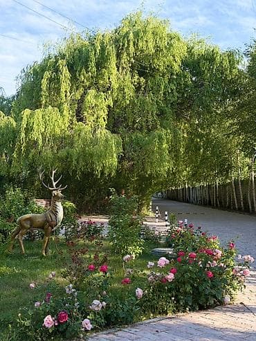 Квартиры: 3 комнаты, 45 м², Элитка, 1 этаж, Евроремонт — 3