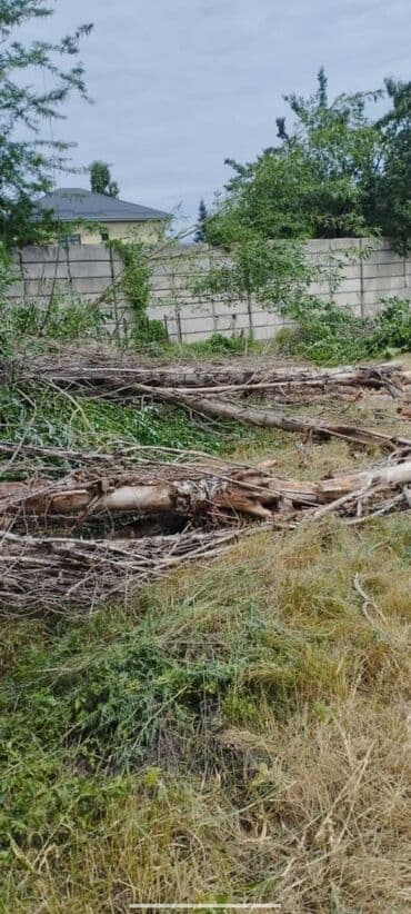 кант дрова: Дрова — 2