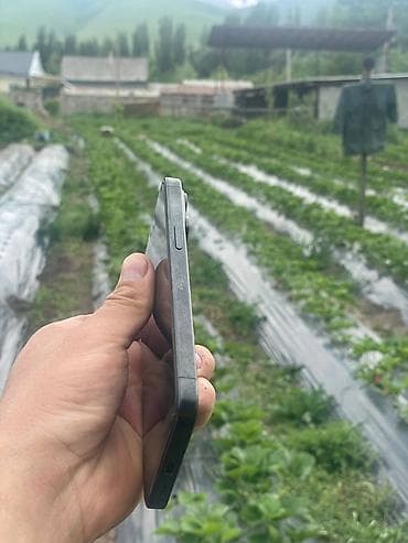 ремонт тараза: IPhone 15 Pro, Колдонулган, Black Titanium, 95 % — 6