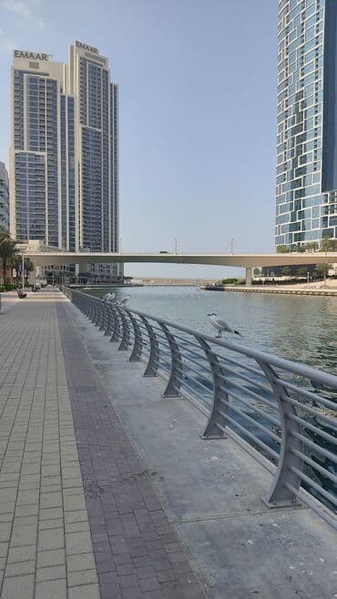 ищу квартиру без агентство и без подселение: 1 комната, 46 м² — 8