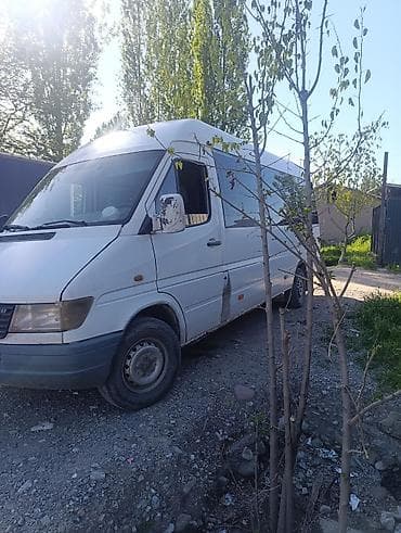 Mercedes-Benz Спринтер: 1999 г., 2.9 л, Дизель, Бус — 1