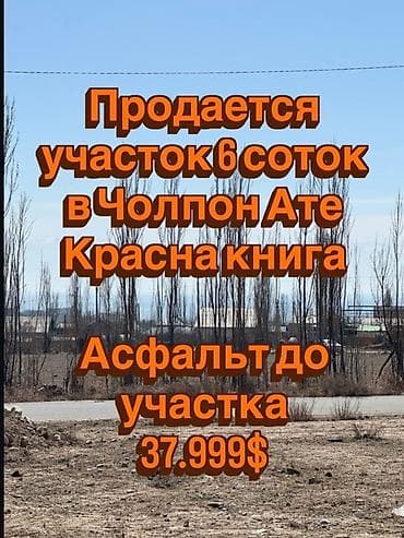 ысык куле: 6 соток, Кызыл китеп — 1