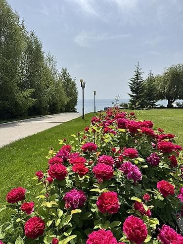 Бизнес үчүн жабдуулар: 2 х комнатная квартира в пансионата Карвен Ысык куль Сдаётся на — 3