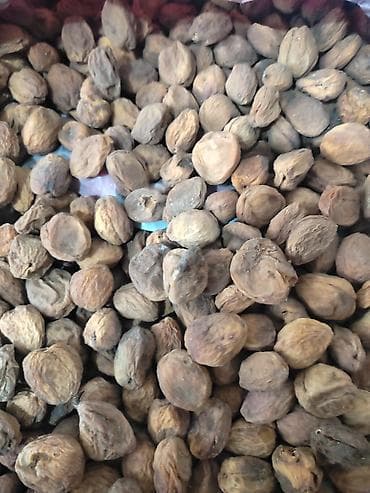 горький миндаль: Ядра абрикосовых косточек (горькие/сладкие, в скорлупе) - Натуральные — 1