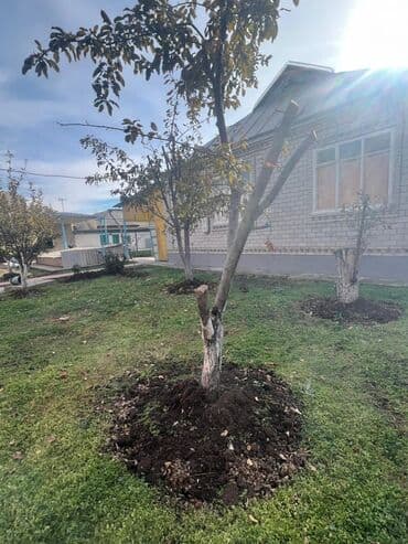 дом куплю кара балта: Дом, 75 м², 4 комнаты, Собственник — 2