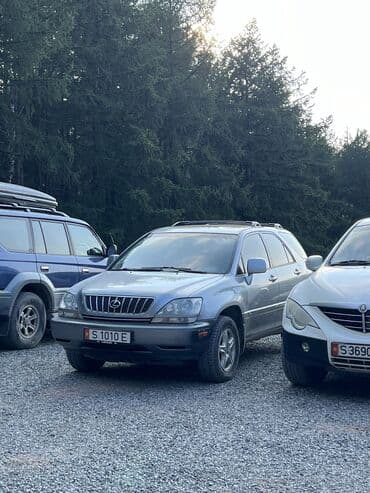 Lexus RX: 2002 г., 3 л, Автомат, Бензин, Универсал