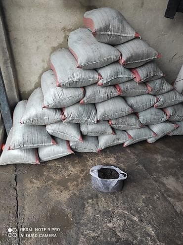 биогумус соолжан: Кара кык – огородуңуз үчүн эң мыкты табигый жер семирткич! 🌱 Бакчаңыз — 3