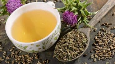 семена расторопши: Расторопша пятнистая или silybum marianum - колючее растение с — 6