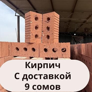 подарок жене: Пустотелый, дырчатый, Жженый кирпич, Полублок, 250×120×90 — 1