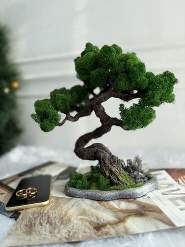 бамбук счастья: Миниатюрная Интерьерная Композиция Декор для дома и офиса «Бонсай» из — 1