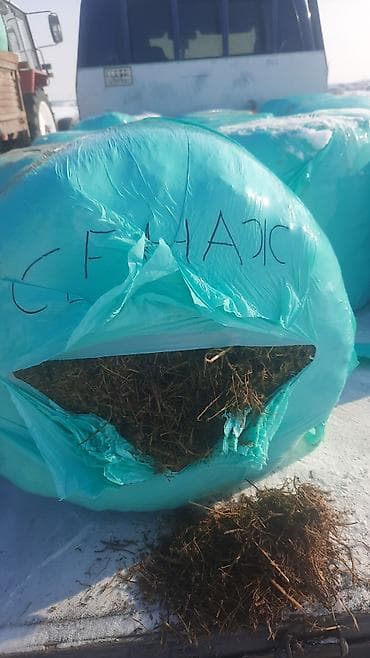 сухой молока: Кукурузный силос 7 сом + доставка сенаж 9000 сом + доставка качества — 8