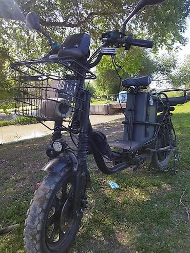 электроскут: Электроскутер/электровелосипед утилитарного типа Описание и — 3