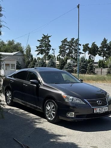 Продажа авто: Lexus ES: 2009 г., 3.5 л, Автомат, Бензин, Седан — 3