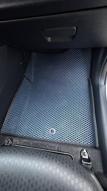 megane: Полики — 8