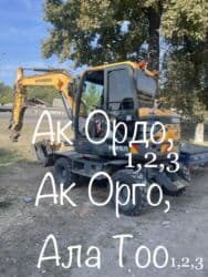 Абиссинская, 5 месяцев, Девочка, Лавандовый, Кастрирована